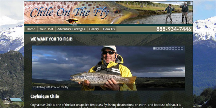 Chile on the Fly is a small business that serves the passions of fly fisherman. This site does what it is intended to do.