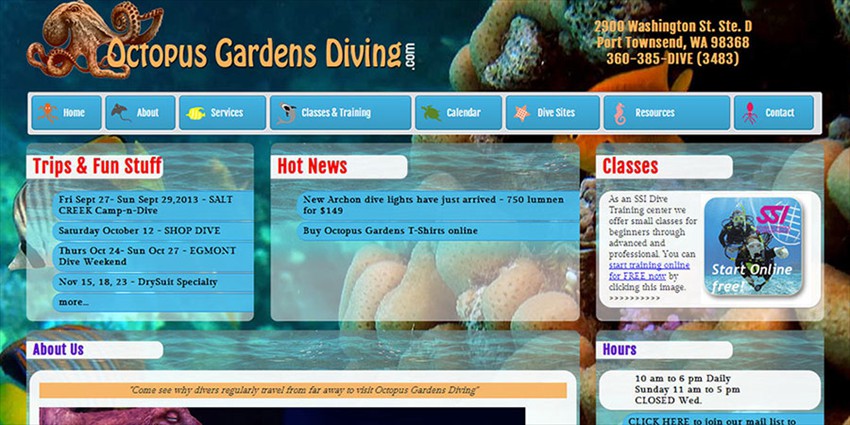 Customers often walk into Octopus Gardens Diving and say, We're here because of your website.