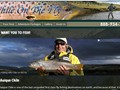 Chile on the Fly is a small business that serves the passions of fly fisherman. This site does what it is intended to do.